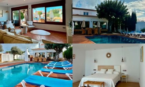 WhatsApp Image 2026-02-13 at 16.55.31